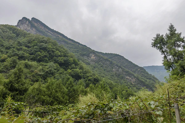 photographs/_DSC4270-HDR.jpg