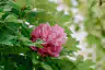 photographs/_DSC6758.jpg